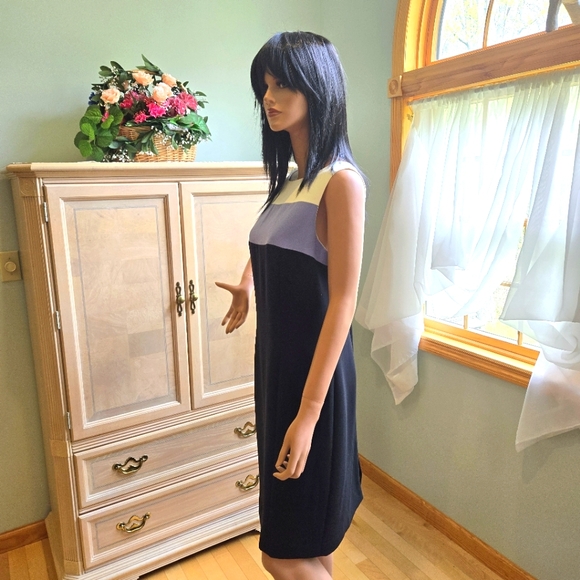 Classic Jones of New York Blue, White, Black Sheath Dress, Size 12 - Picture 5 of 7
